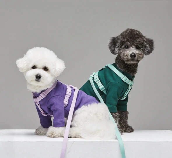 犬 ハーネス なめらかスタンダードハーネス