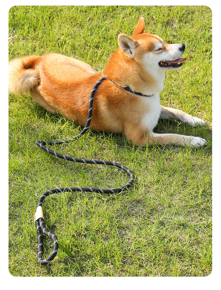 犬 ハーネス 輝きロープリード