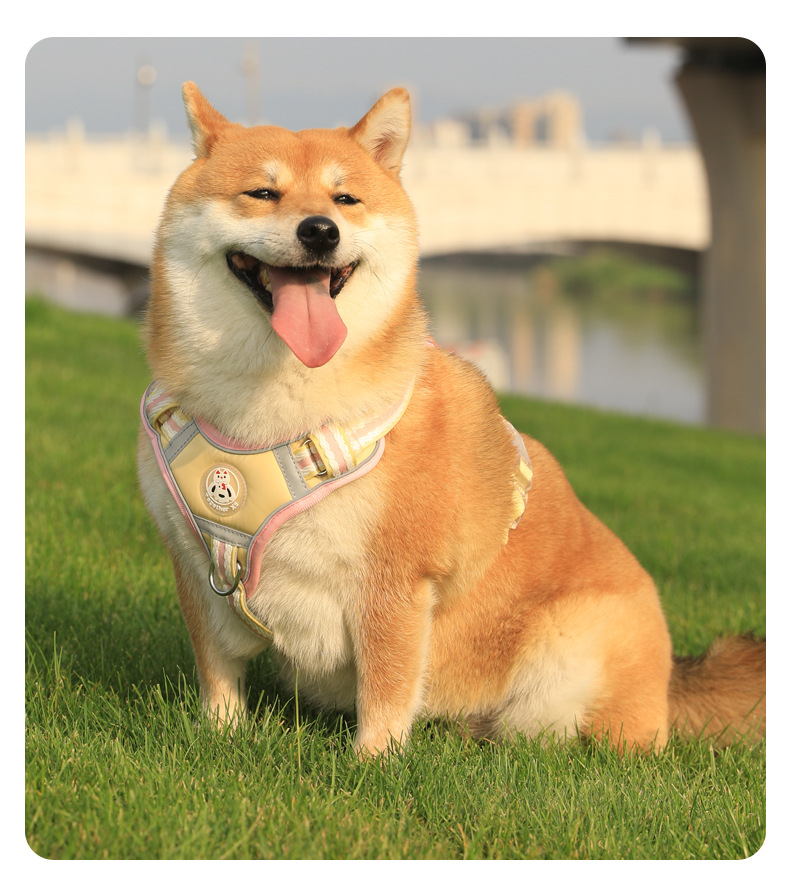 犬 ハーネス やさしさ包むベーシックハーネス
