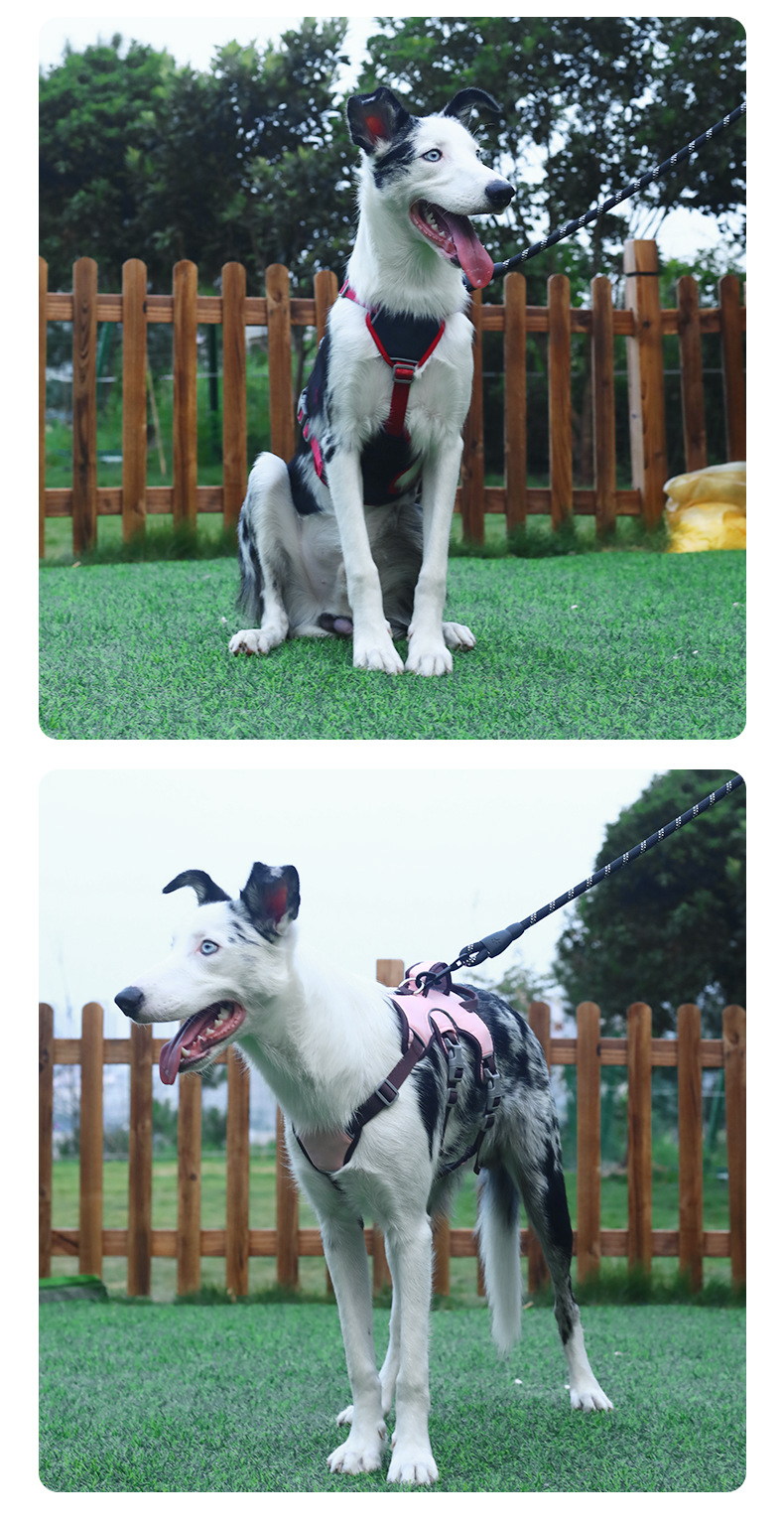 犬 ハーネス やさしい着心地 首楽ハーネス