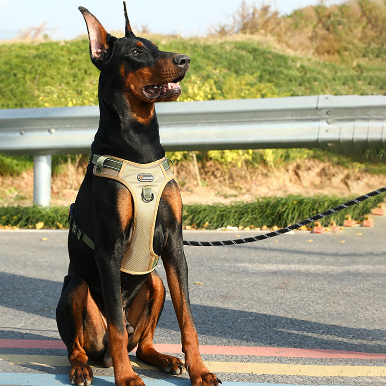 犬 ハーネス 頑丈な背中サポートハーネス
