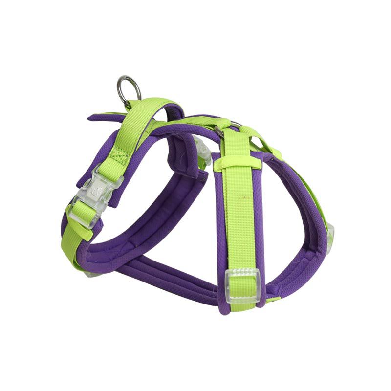 https://fulmo-img-server.com/wonderfulharness/4afa22c3-361f-4ff9-9dca-6b1ce43ed6ed.jpg