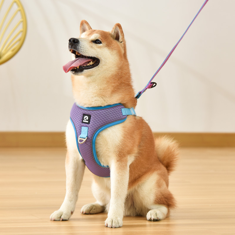 犬 ハーネス メッシュ通気性ハーネス