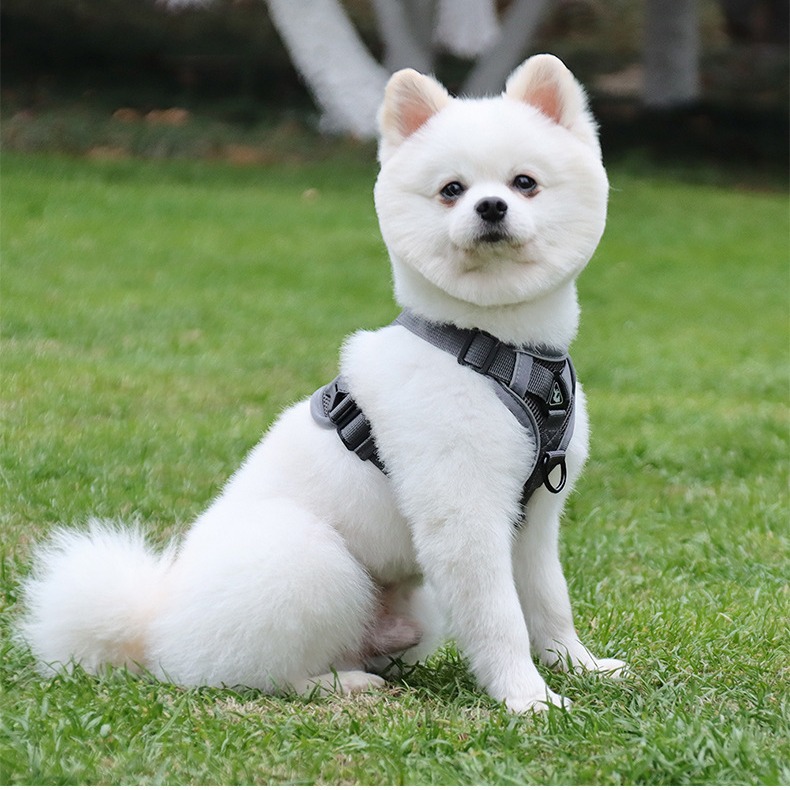 犬 ハーネス やさしい癒しのペットハーネス