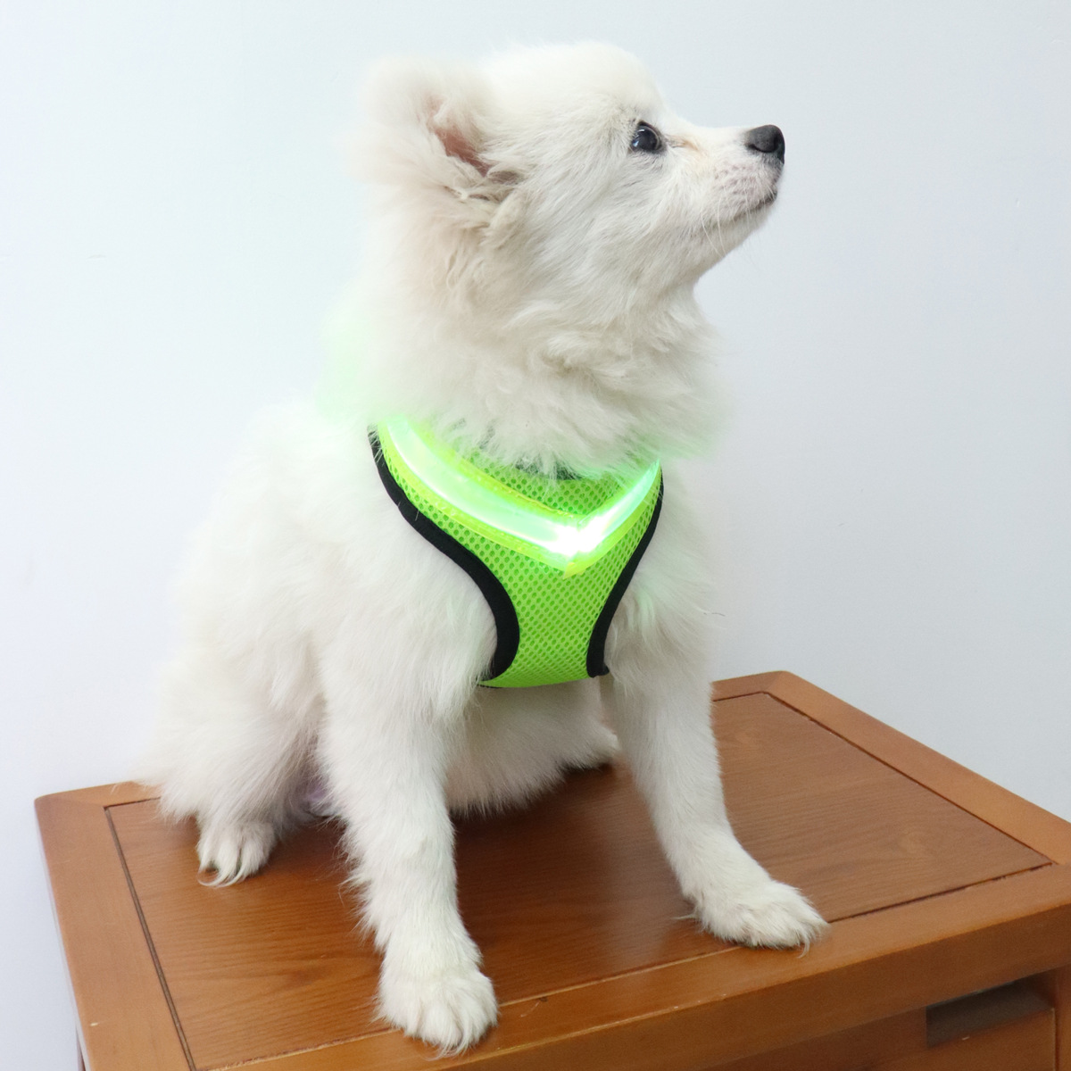 犬 ハーネス 夜道も安心 光るメッシュハーネス