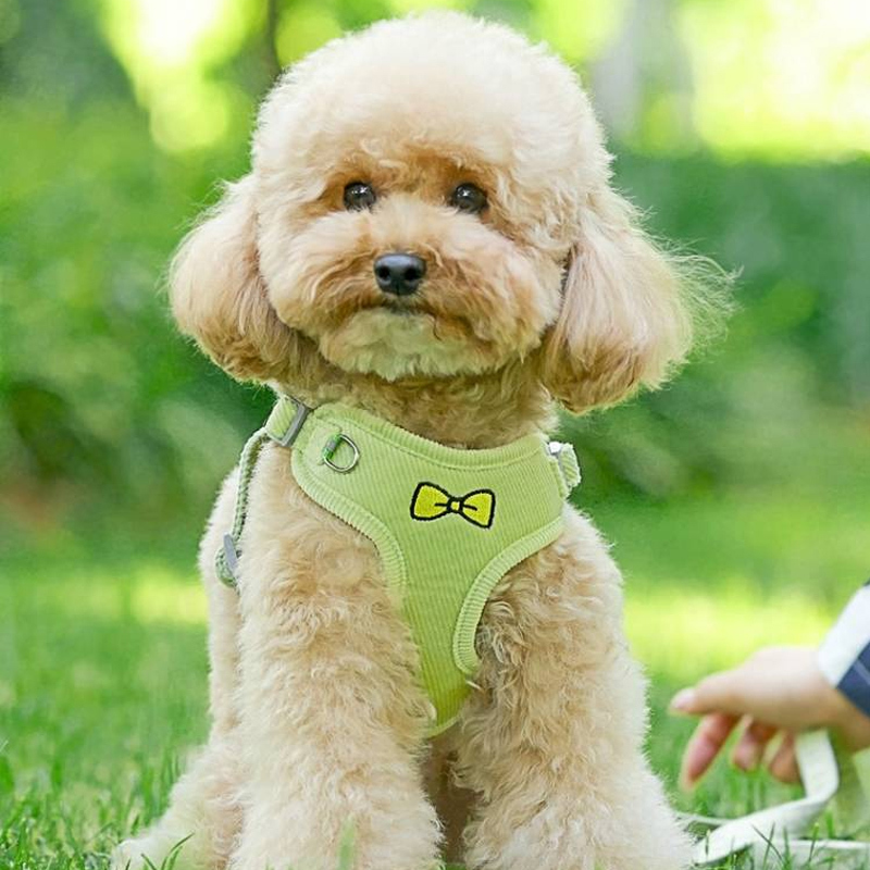 犬 ハーネス リボンモチーフ やわらか気分ハーネス