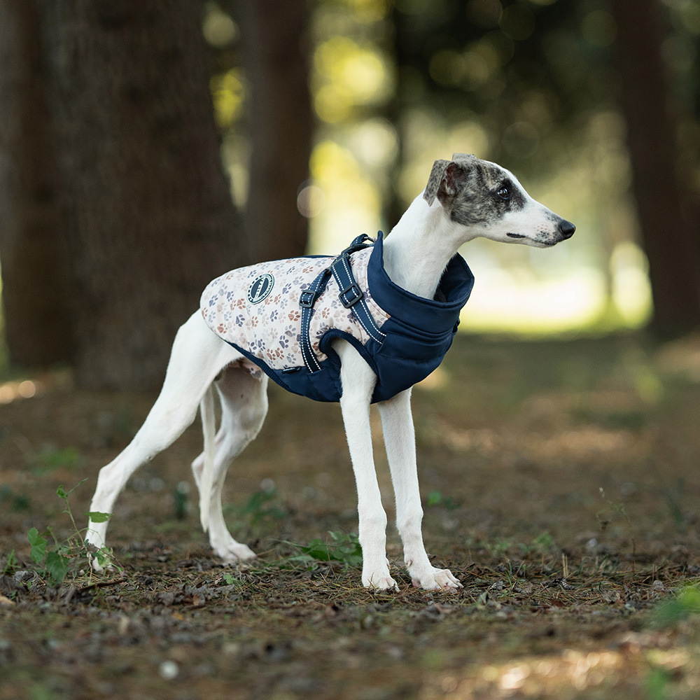 犬 ハーネス やわらか肌触り 散歩安心ハーネス