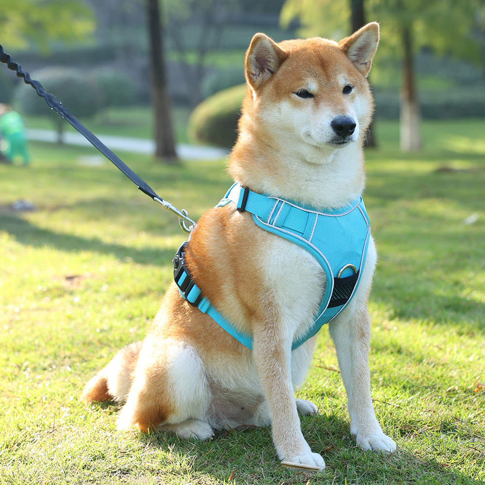 犬 ハーネス やさしフィットハーネス