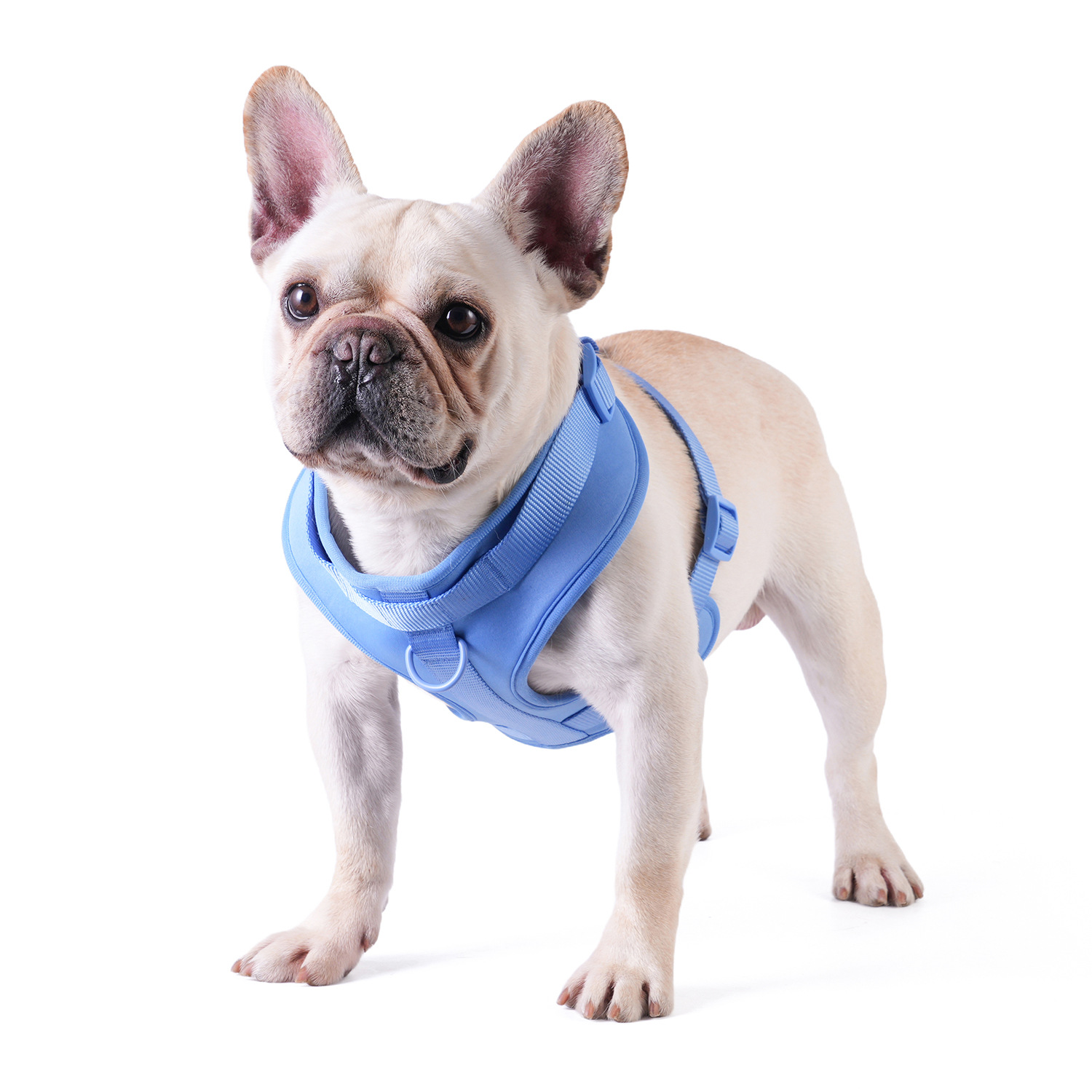 犬 ハーネス やさしさ包む ふわふわハーネスセット