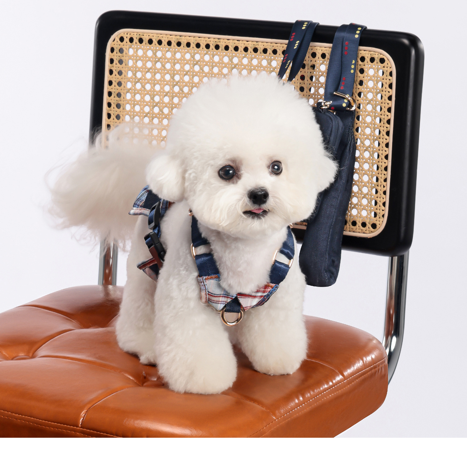 犬 ハーネス ふんわり優雅なやさしさハーネス