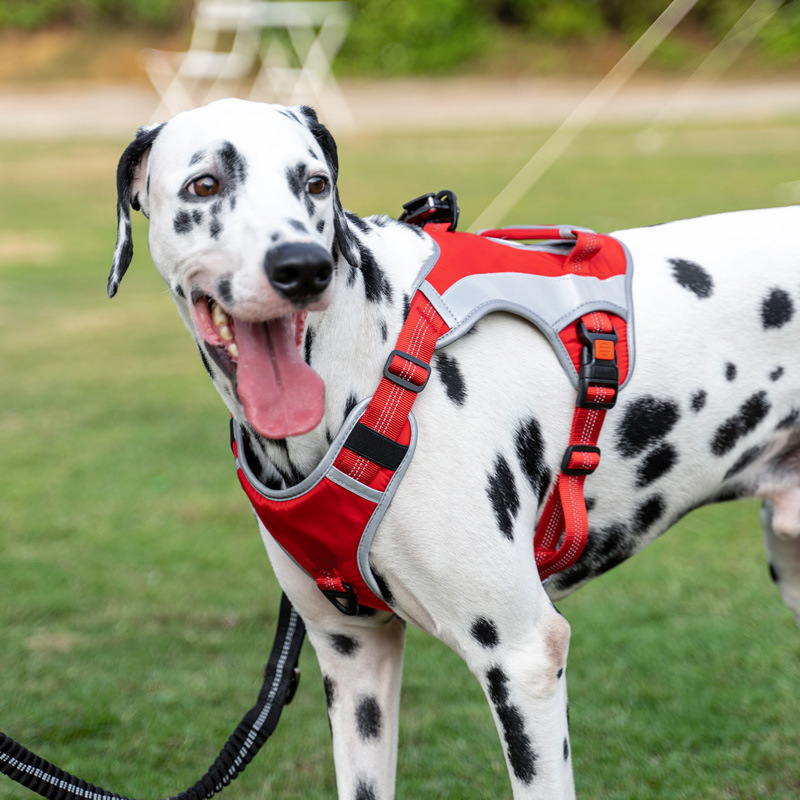 犬 ハーネス アスリートドッグハーネス