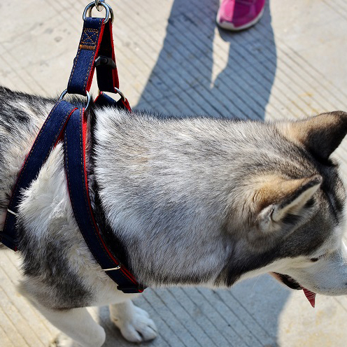 犬 ハーネス スムースウェアハーネス