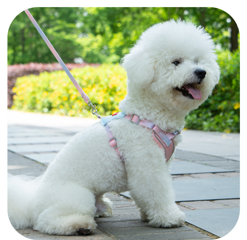 犬 ハーネス やすらぎ美人ハーネス