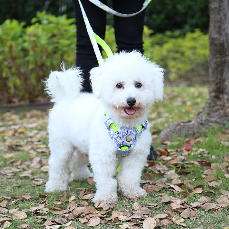 犬 ハーネス やさしい着け心地 メッシュハーネス