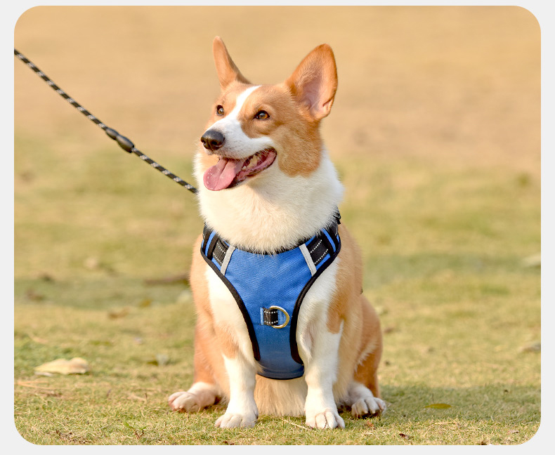 犬 ハーネス シームレス快適ハーネス