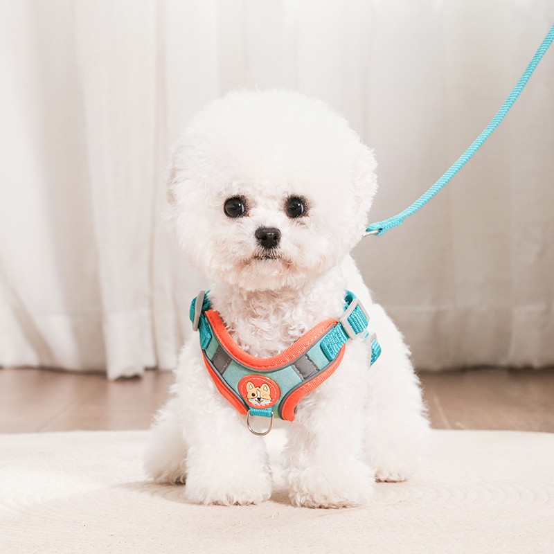 子犬