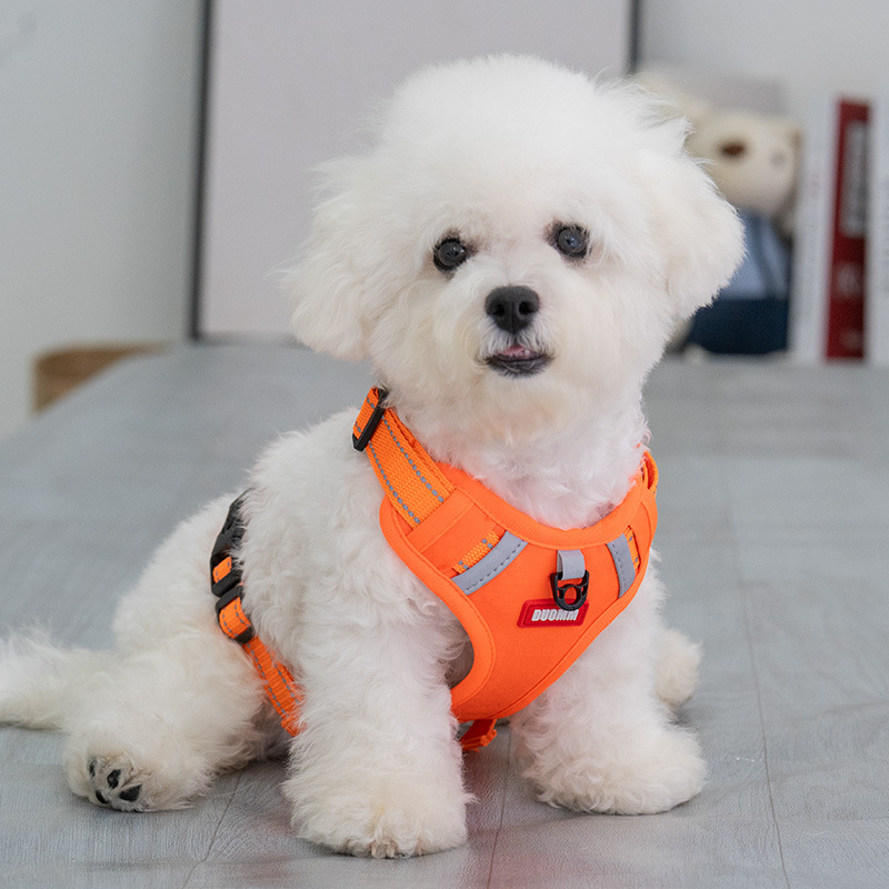 https://fulmo-img-server.com/wonderfulharness/4e4ed55a-e783-461a-b717-0460adddff94.jpg
