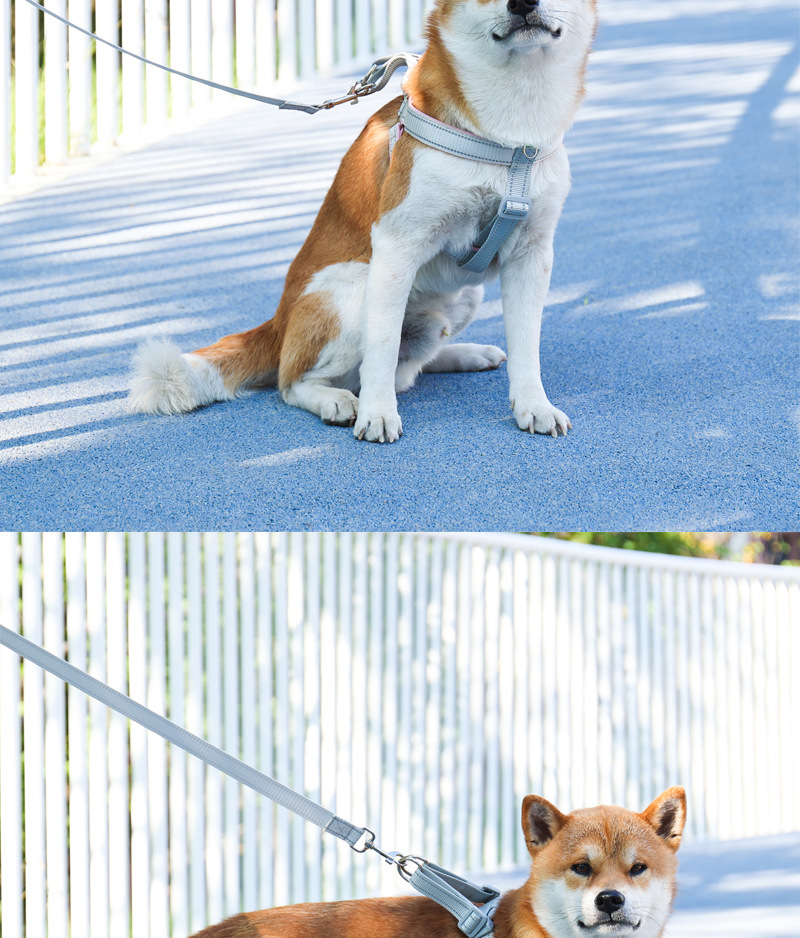 犬 ハーネス やわらか快適 シンプルメッシュハーネス