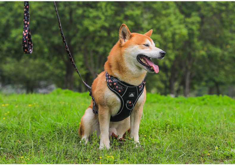 犬 ハーネス やさしさ包む 四季の散歩ハーネス