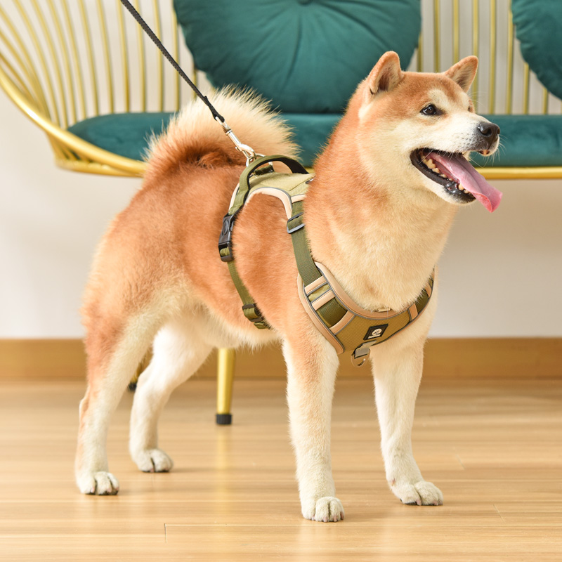 犬 ハーネス アクティブ ウォーカー ハーネス