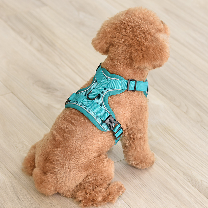 犬 ハーネス やさしさ包む 軽量ハーネス