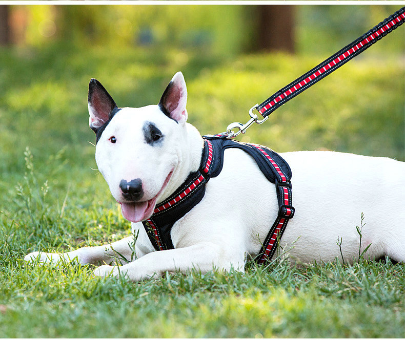 犬 ハーネス スリムフィット アウトドアハーネス