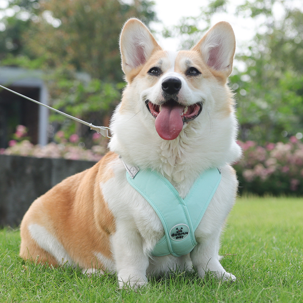 犬 ハーネス なめらか着心地 やさしいフィット ハーネス