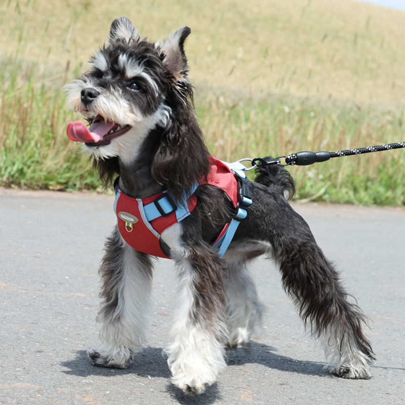 犬 ハーネス やさしフィット ペット用ハーネス