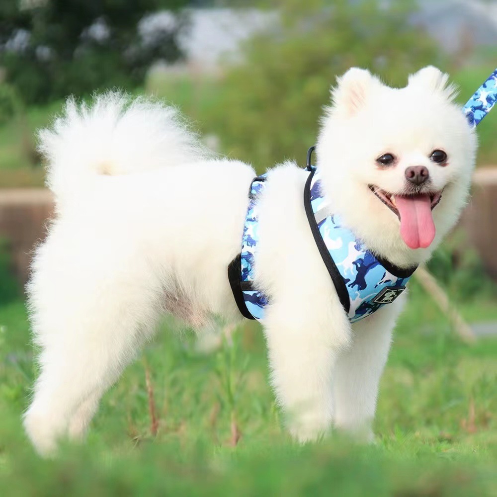 犬 ハーネス 迷彩柄ペット用お散歩セット