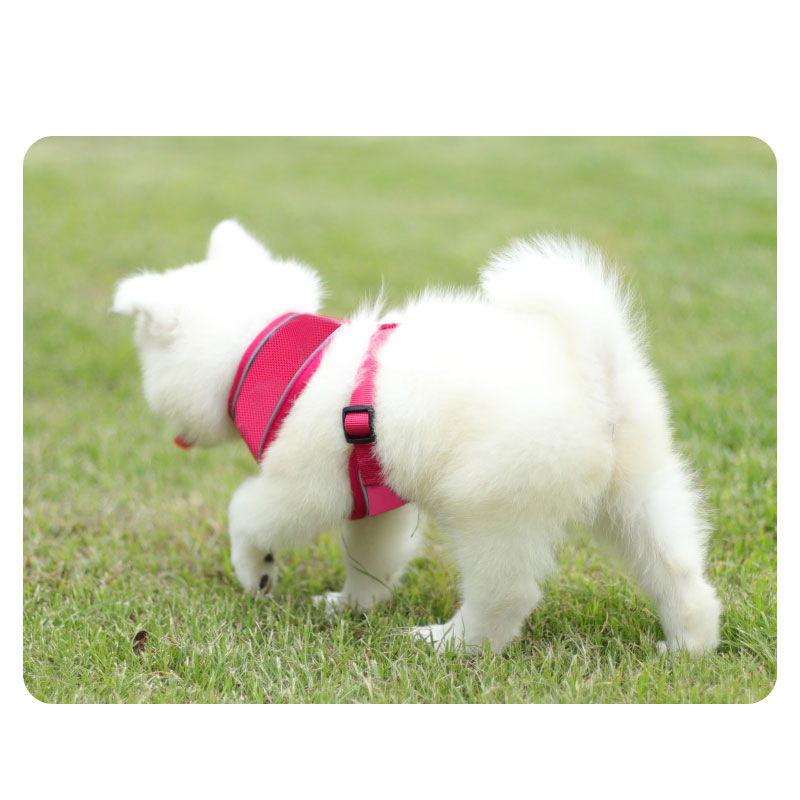 犬 ハーネス メッシュ通気性抜群ハーネス