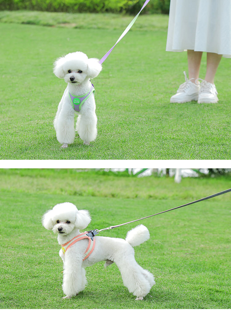 犬 ハーネス やわらかメッシュハーネス