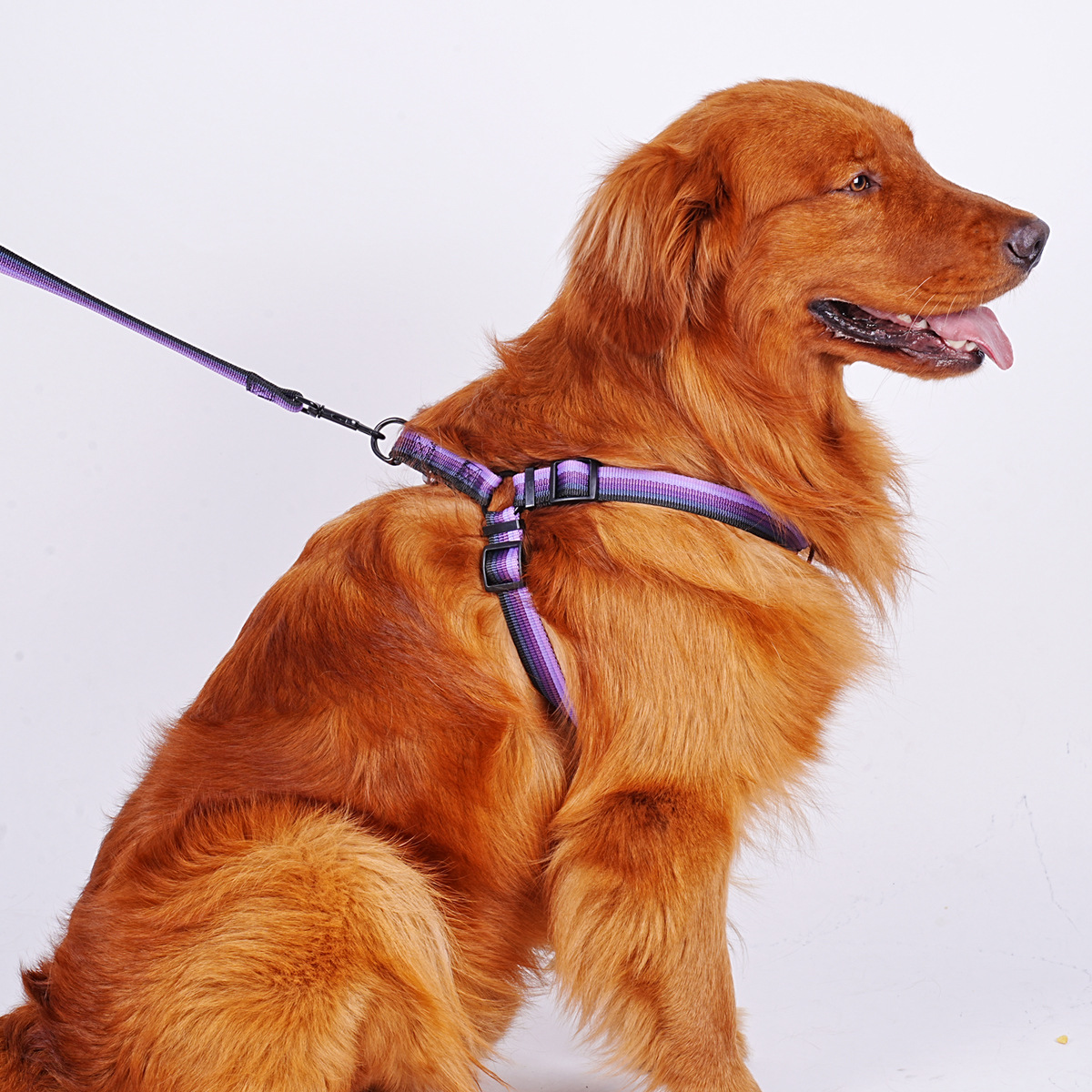 犬 ハーネス 快適シンプル ペットハーネス
