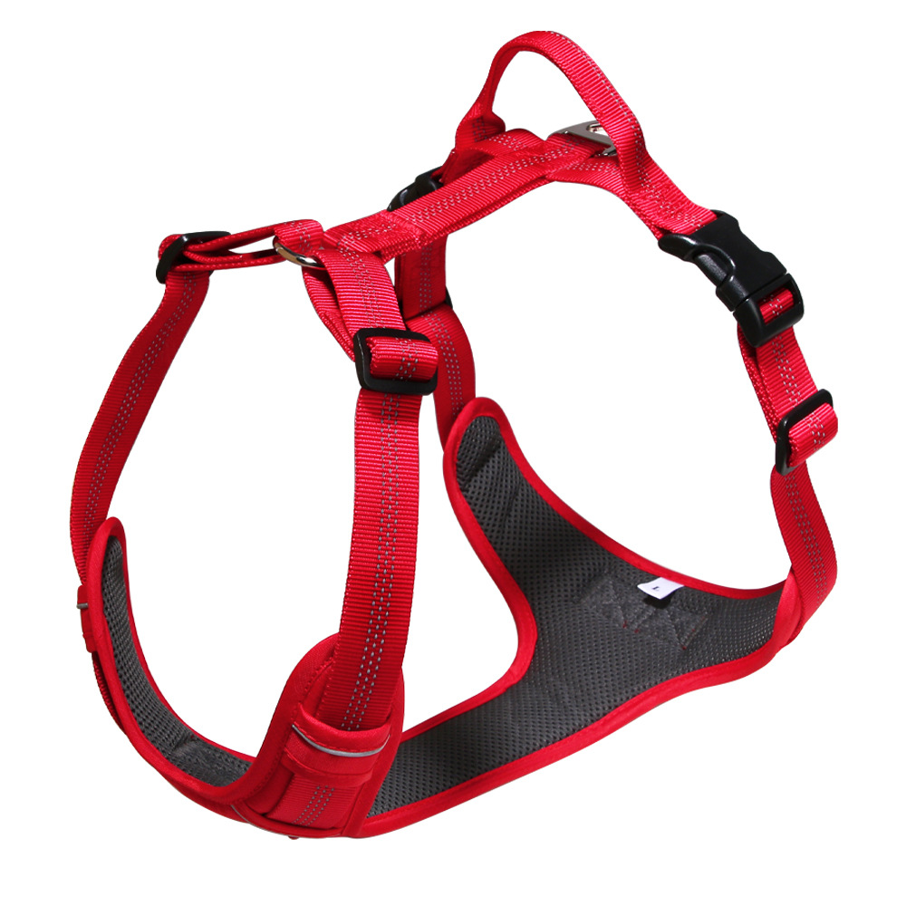 https://fulmo-img-server.com/wonderfulharness/52220a56-7163-4899-8d1e-72864d91e1eb.jpg