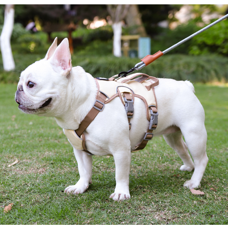 犬 ハーネス フレンチブル専用 やさしさハーネス