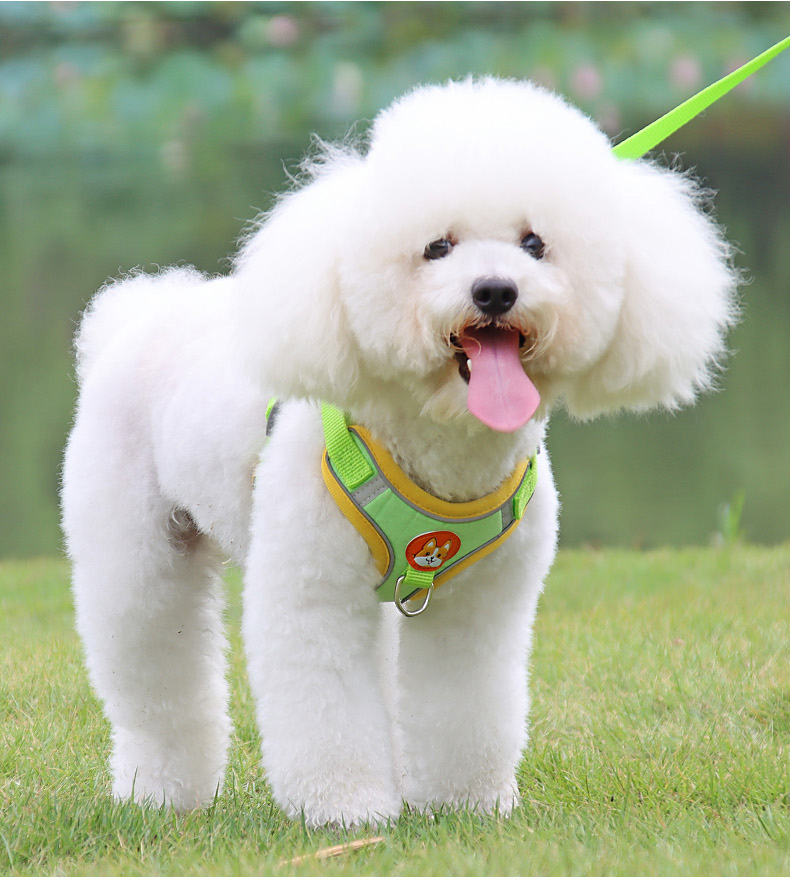https://fulmo-img-server.com/wonderfulharness/530c0e56-9242-45b1-a8b9-a9fdc6501d36.jpg