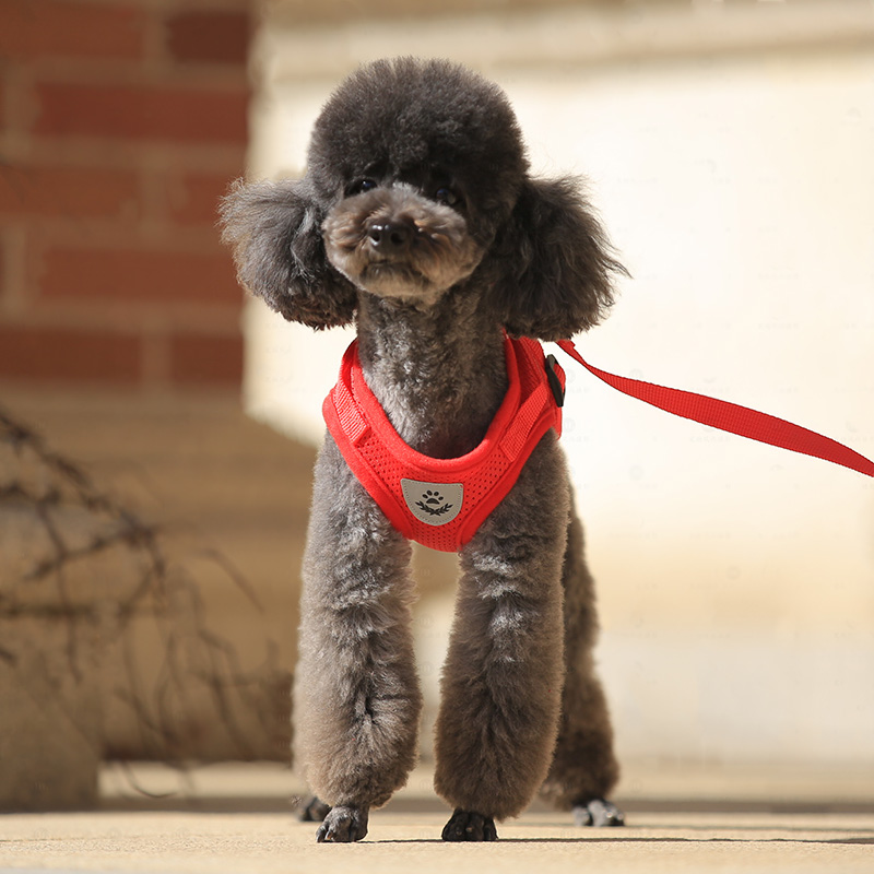犬 ハーネス やさしい呼吸 フィット ハーネス