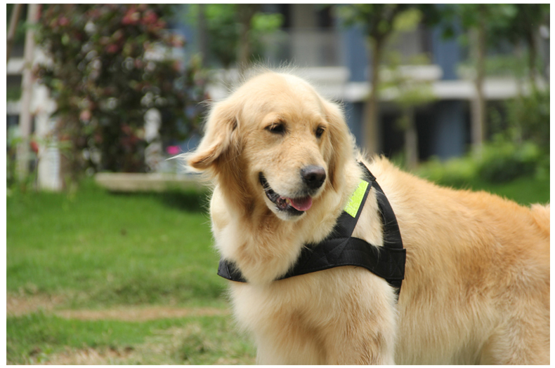 犬 ハーネス 機能美ワンタッチ 安全ハーネス