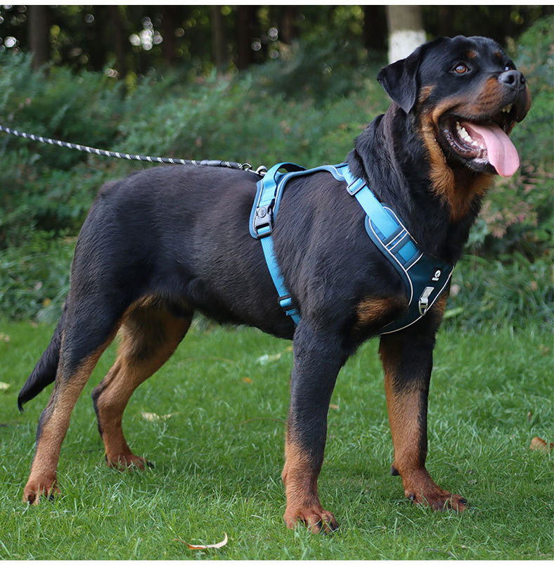 犬 ハーネス やさしい着心地 快適ハーネス