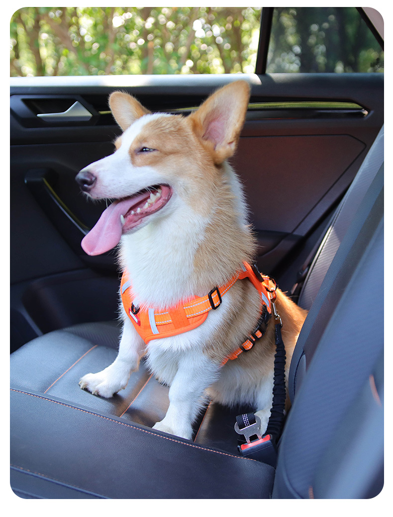 犬 ハーネス ソフトフィット安全ハーネス