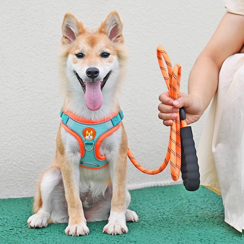 犬 ハーネス やさしさ包む 四季のハーネス