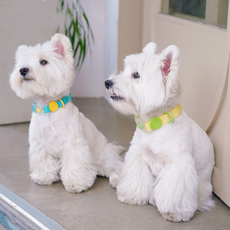犬 ハーネス やわらか素材のシンプル首輪