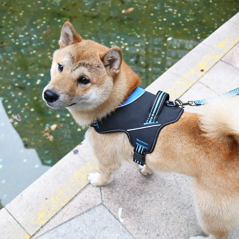 犬 ハーネス フィット快適ハーネス