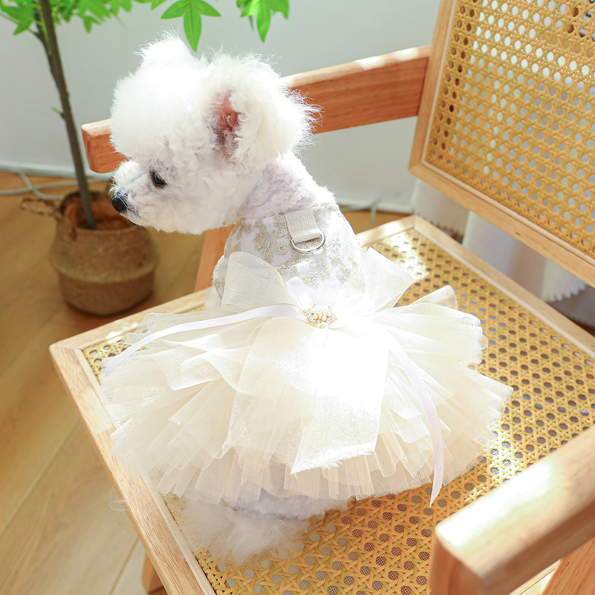 犬 ハーネス 生成エラーです