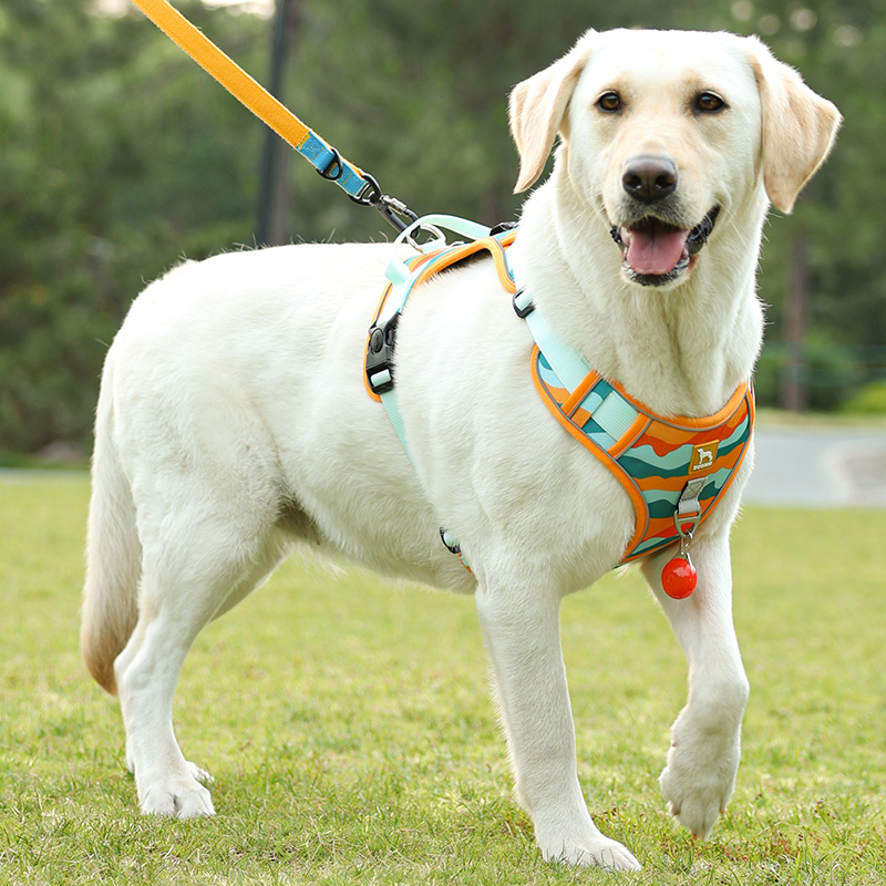 犬 ハーネス やさしさ包む 快適メッシュハーネス