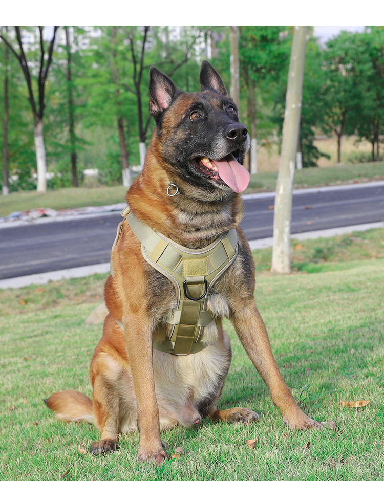 犬 ハーネス 大型犬用アウトドア戦術ハーネス