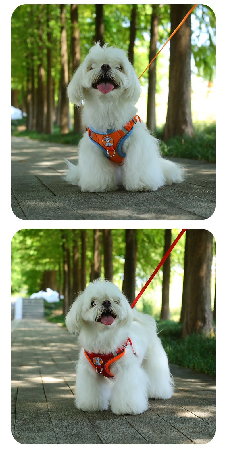 犬 ハーネス 愛犬快適 やさしフィットハーネス
