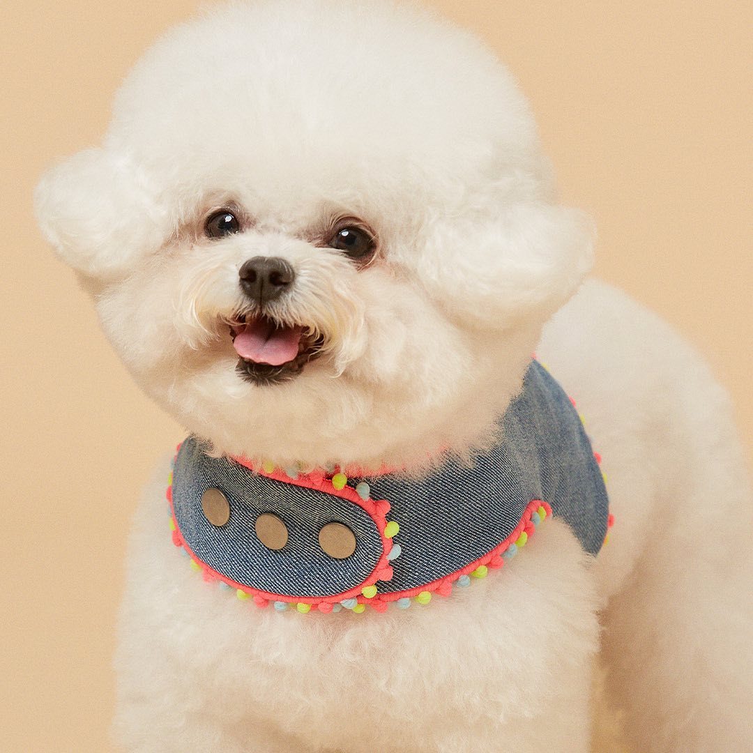 犬 ハーネス キュートくまさんポンポンハーネス