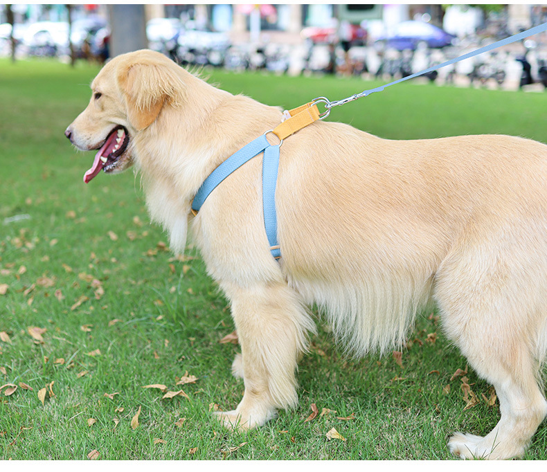 犬 ハーネス やさしい着け心地 ソフトハーネス