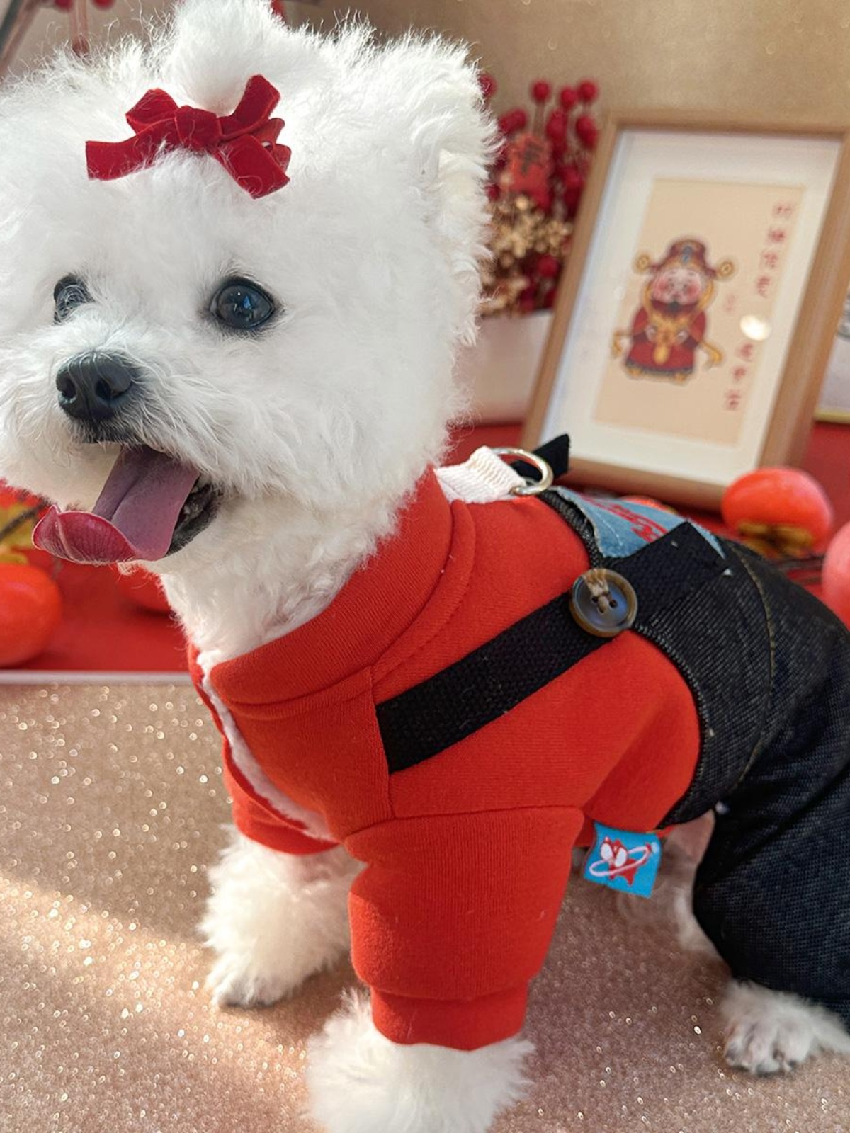 犬 ハーネス やわらか着心地 なりきりつなぎ