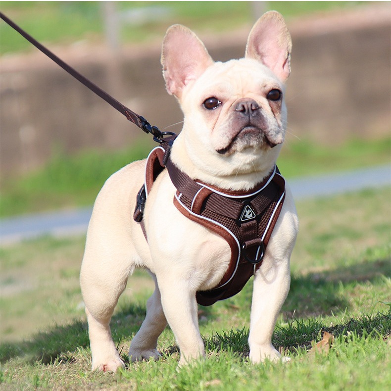 犬 ハーネス やさしい癒しのペットハーネス